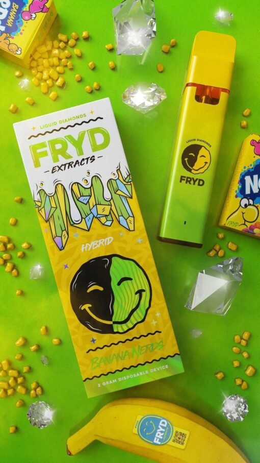 Fryd Disposable